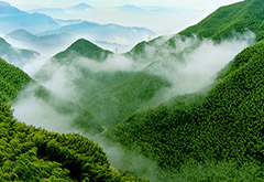 【鄉村旅游】洋家樂領跑鄉村旅游完美升級